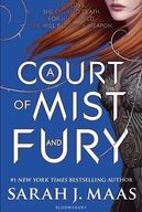 A Court of Mist and Fury (A Court of Thorns and Roses 2)