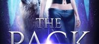 The Pack Slut (The Fae Omegas Standalone Series Book 1)